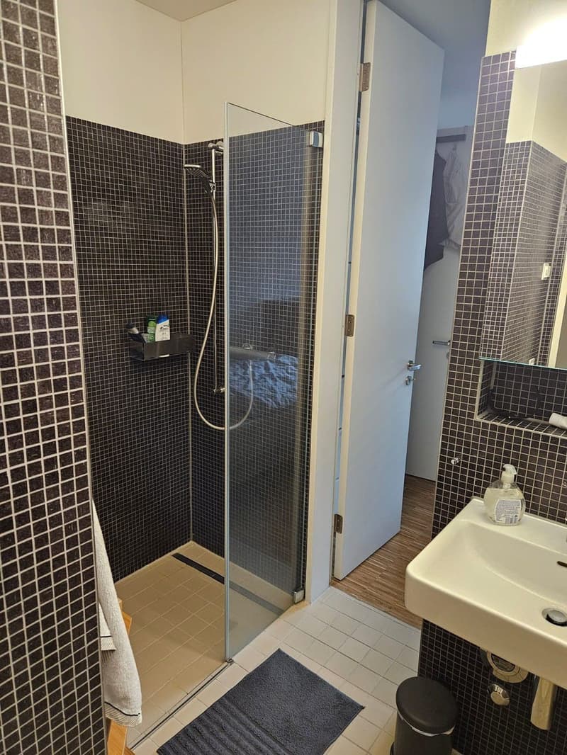 01.12.2026 Room Available in a Bright and Modern Shared Flat in Zurich Bucheggplatz Area (7)