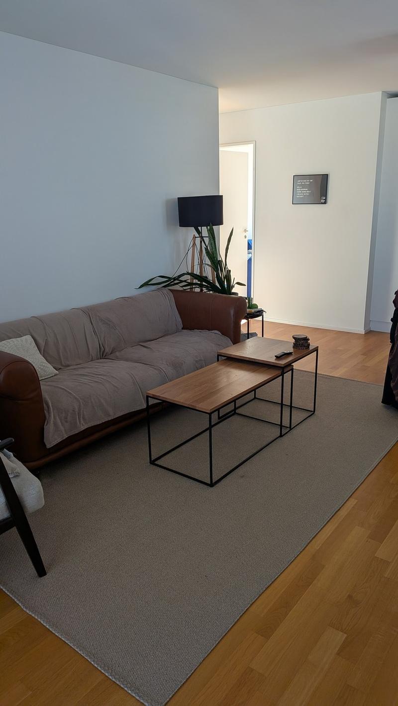 3.5 Zimmer Möblierte Wohnung von Oktober bis Januar (1)