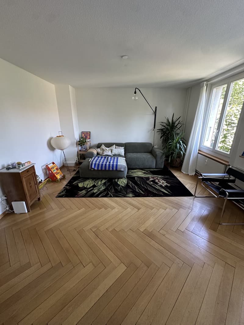 Befristete Möblierte 3.5-Zimmer-Wohnung mit Wintergarten Untermiete DezJan, 1 Min. vom Breitschplatz (3)