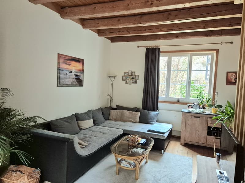 Möblierte 3-Zimmer-Wohnung in ruhiger Lage in Lütisburg (1)
