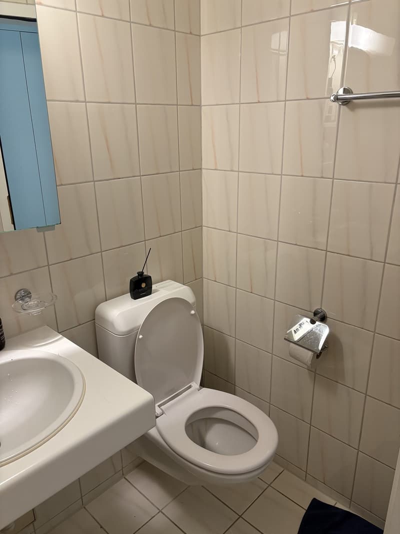Gemütliche und zentrale 1-Zimmerwohnung (5)