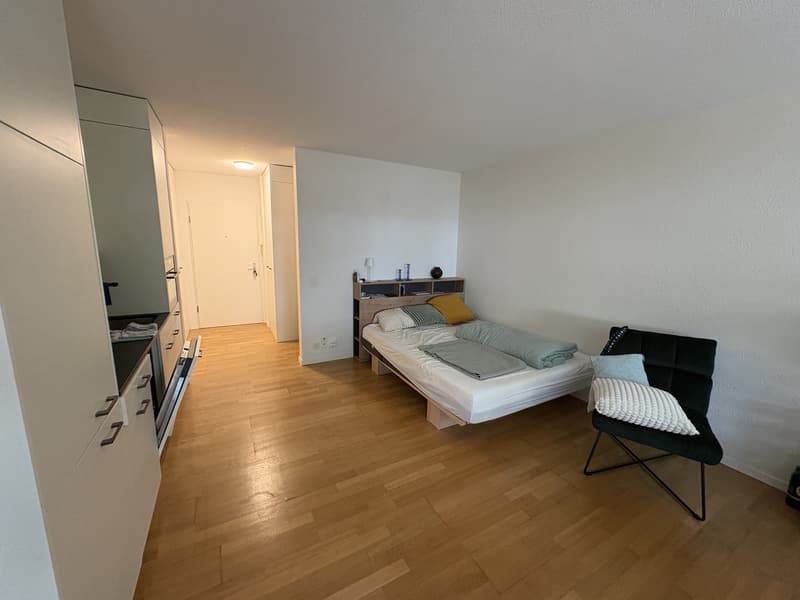 Gemütliche und zentrale 1-Zimmerwohnung (3)