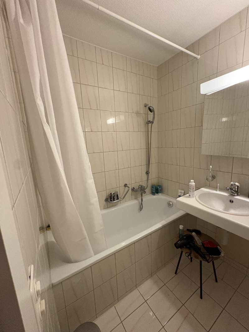 Gemütliche und zentrale 1-Zimmerwohnung (6)