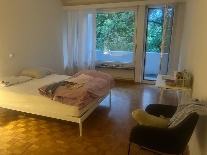 3-Zimmerwohnung mit Balkon (6)