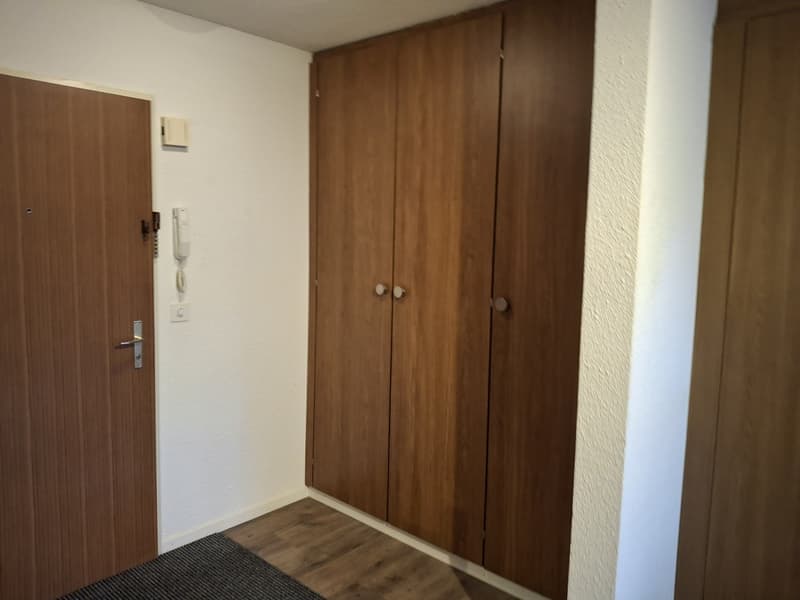Studio in Fehraltorf (4)