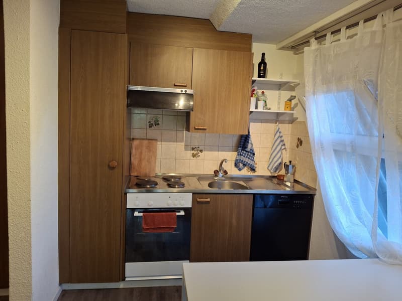 Studio in Fehraltorf (5)
