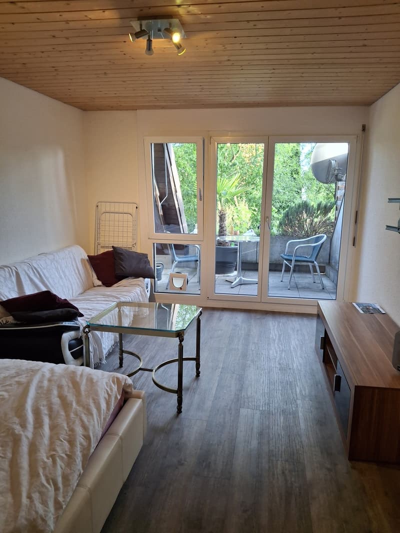 Studio in Fehraltorf (2)