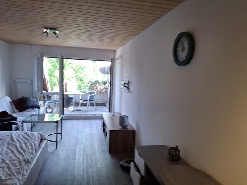Studio in Fehraltorf (1)