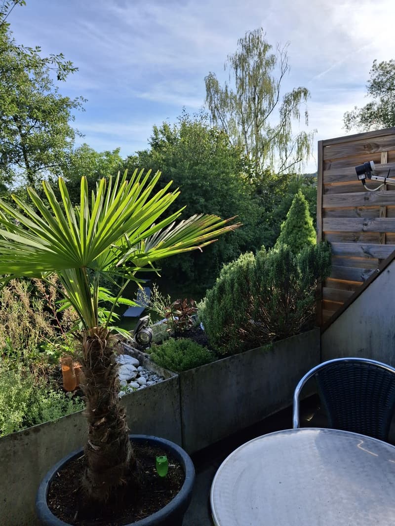 Studio in Fehraltorf (6)