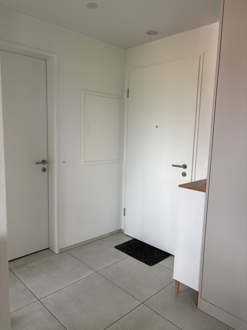 Wunderschöne möblierte 3.5 Zimmer Neubauwohnung mit Seesicht in Thalwil zur Zwischenmiete (10)