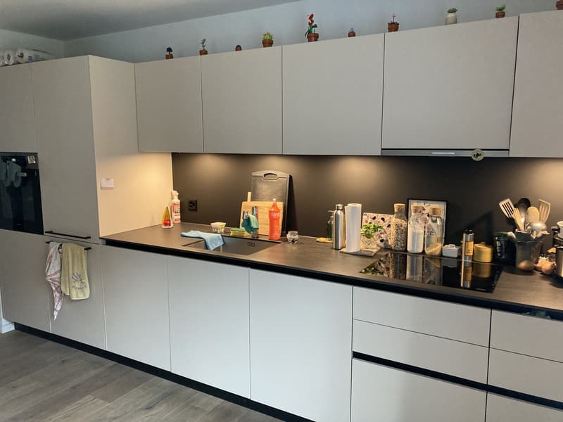 Sweet home in the heart of Wipkingen (3)