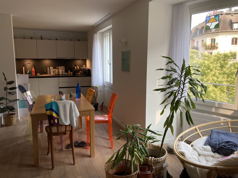 Sweet home in the heart of Wipkingen (1)