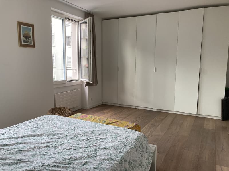 Sweet home in the heart of Wipkingen (5)