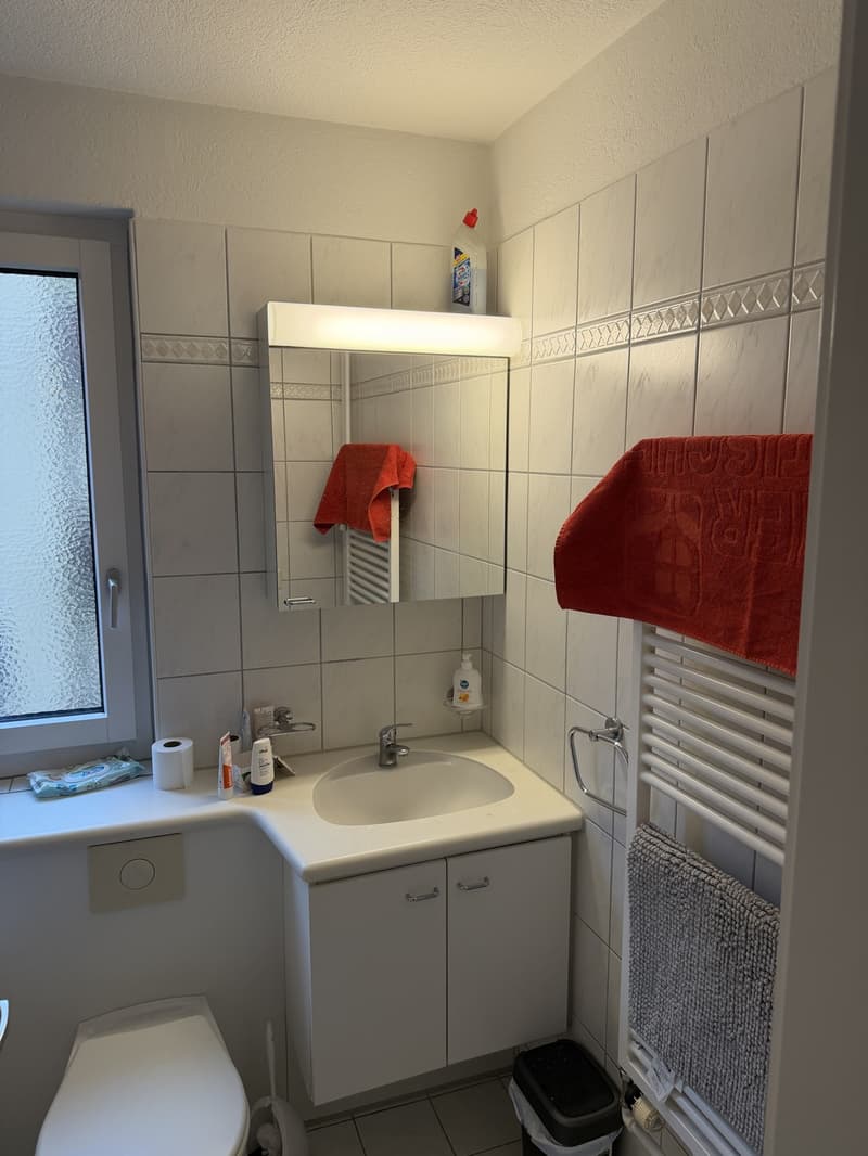 ab sofort: helle 3 Zimmer Wohnung in Nähe von Bahnhof Oerlikon (10)