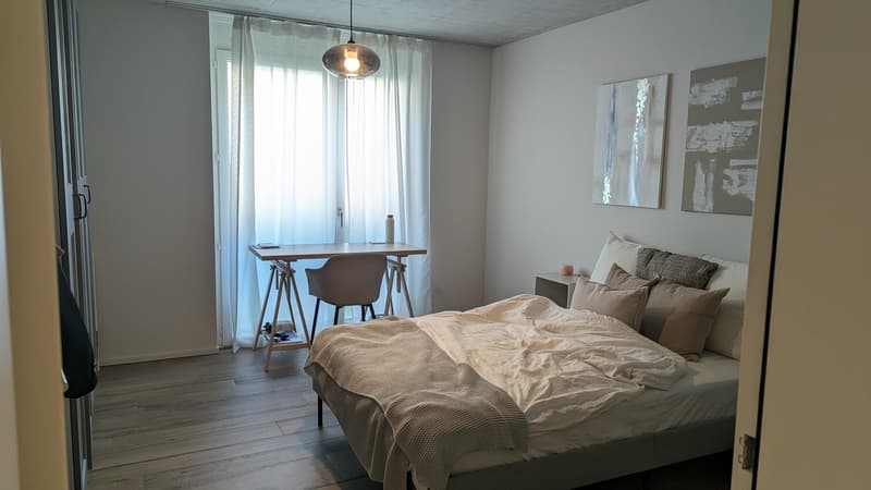 Exklusive Neubauwohnung in St. Gallen (6)