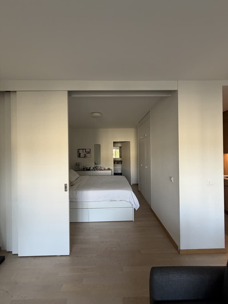 2-room apartment, 49 m2, Rue du Vidollet Genève 1202 (4)