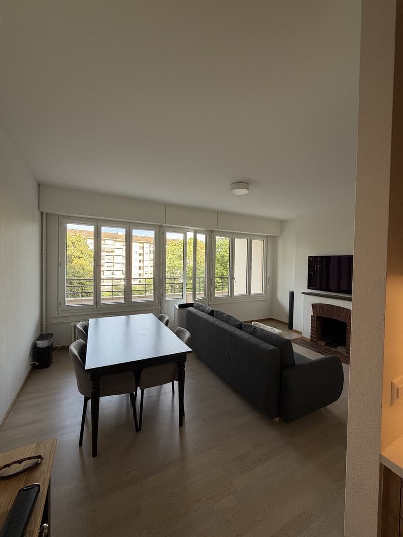 2-room apartment, 49 m2, Rue du Vidollet Genève 1202 (3)