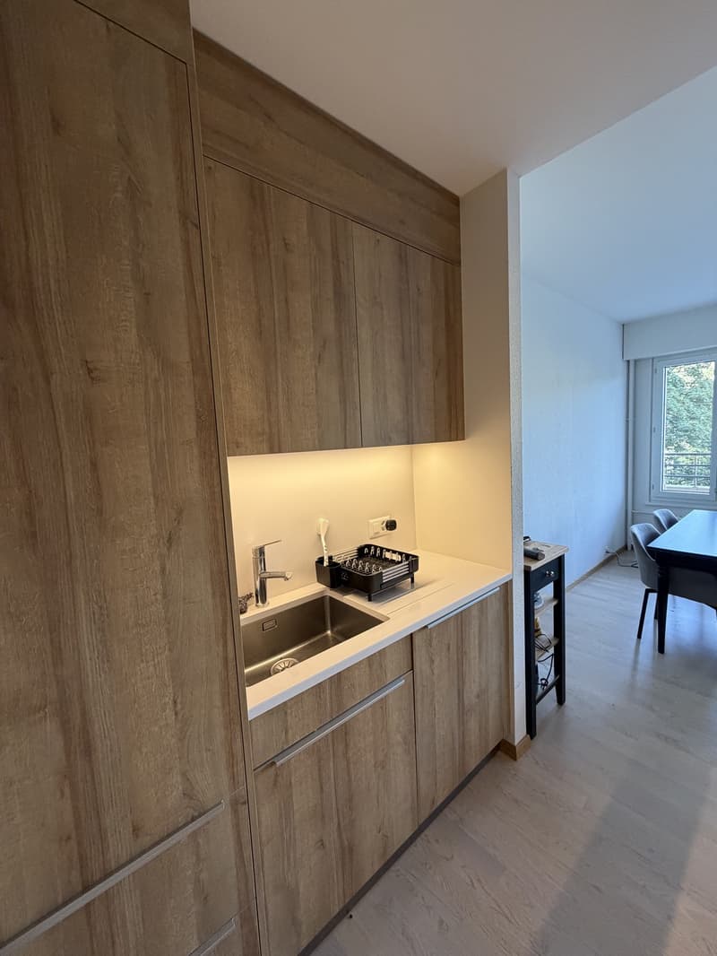 2-room apartment, 49 m2, Rue du Vidollet Genève 1202 (2)