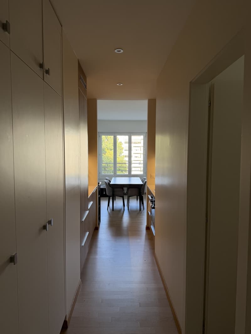 2-room apartment, 49 m2, Rue du Vidollet Genève 1202 (1)