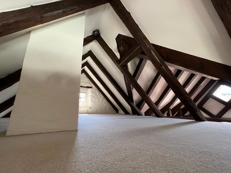 Schöne & Top gelegene Dachwohnung in Wädenswil (3)
