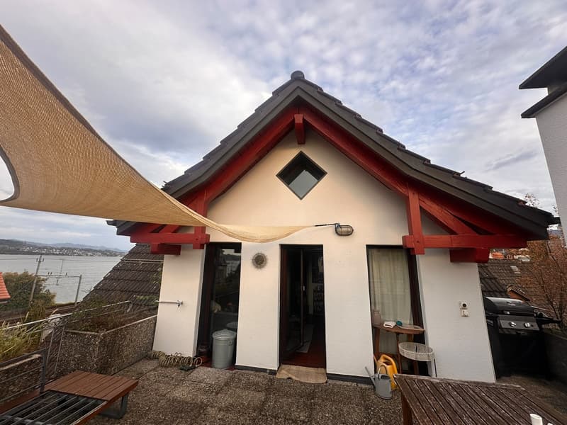 Schöne & Top gelegene Dachwohnung in Wädenswil (13)