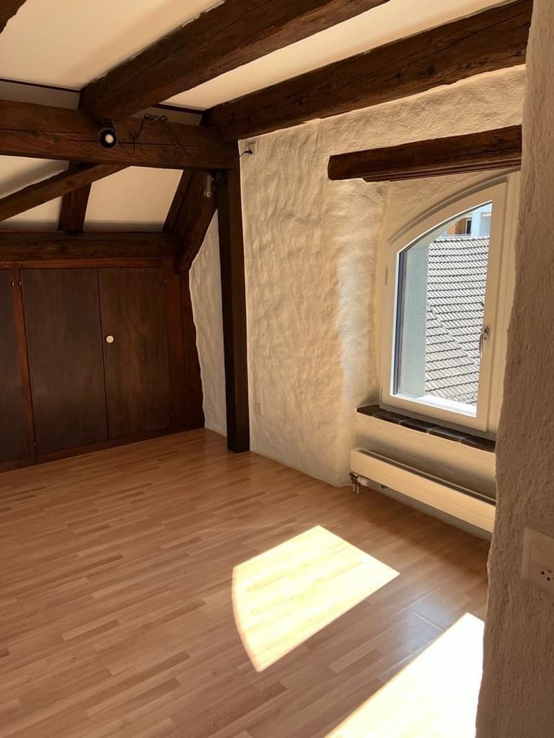 Schöne & Top gelegene Dachwohnung in Wädenswil (6)