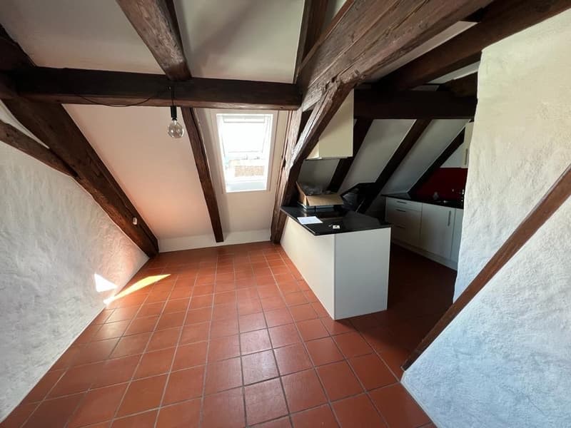 Schöne & Top gelegene Dachwohnung in Wädenswil (4)