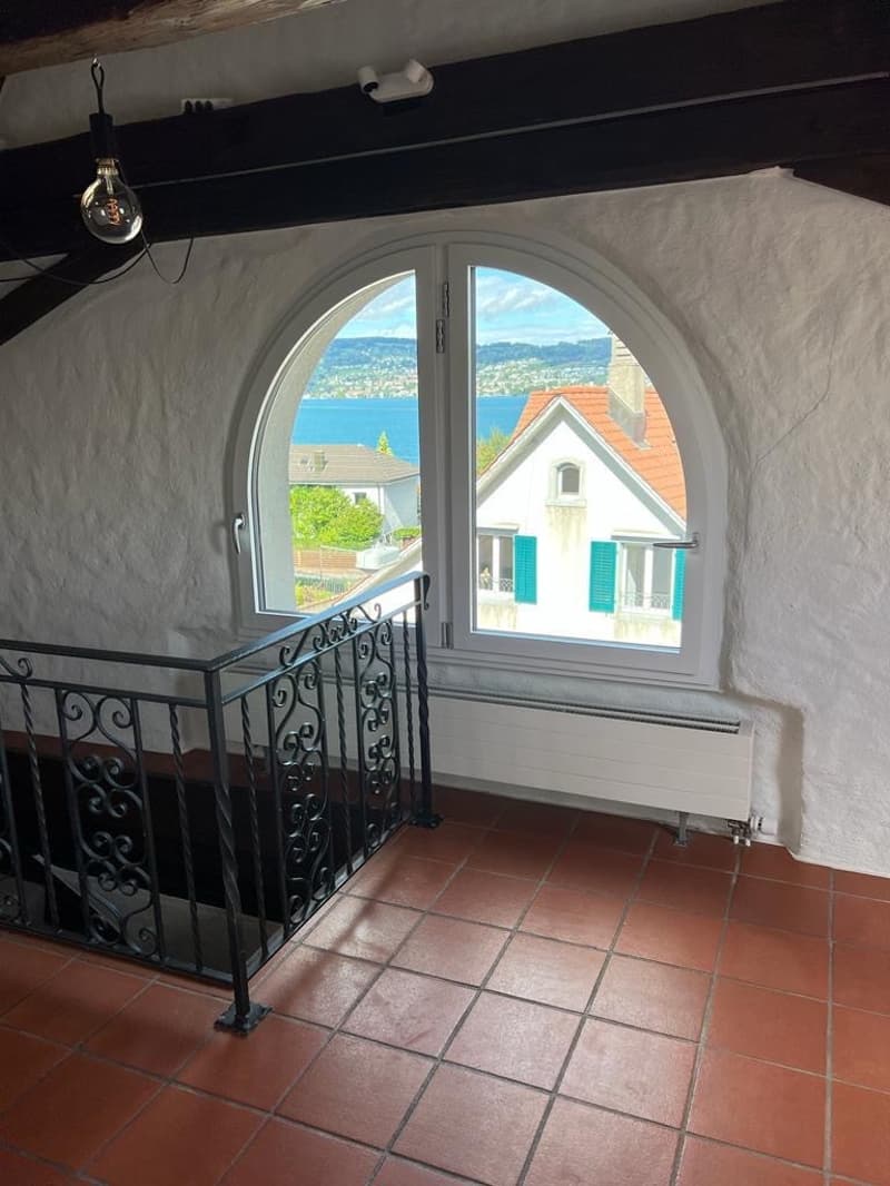 Schöne & Top gelegene Dachwohnung in Wädenswil (8)