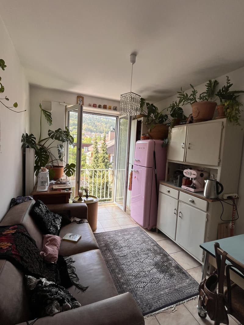 1,5 Zimmerwohnung zur untermiete (2)