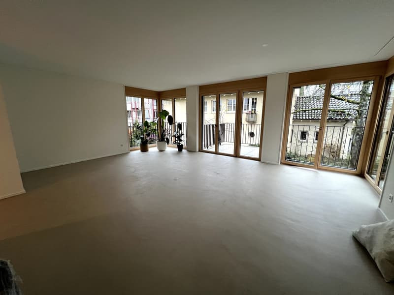 Modern 4.5 Room Apartment | Built in 2024 (6)