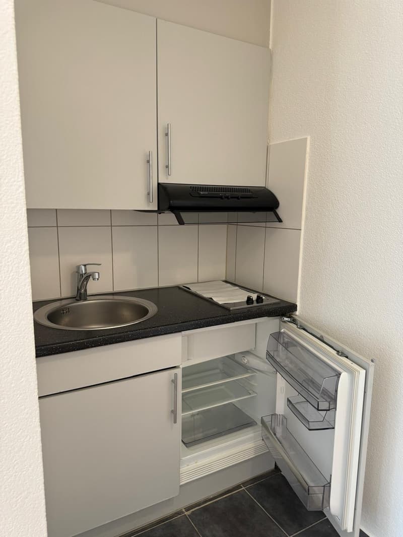 1 room apartment, 8050 Zürich (7)