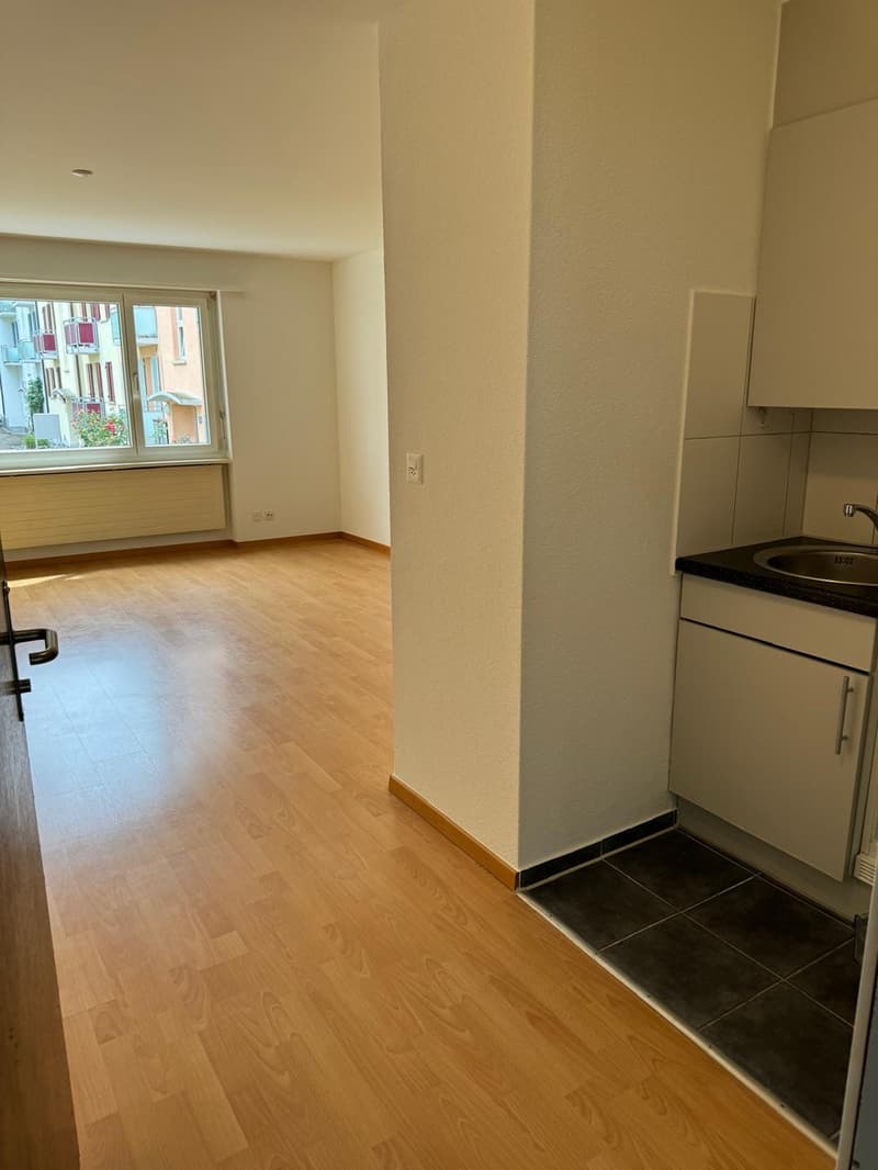 1 room apartment, 8050 Zürich (6)