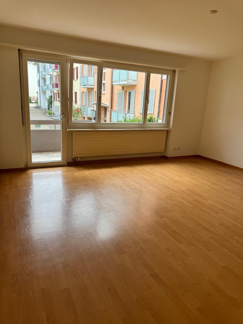 1 room apartment, 8050 Zürich (1)