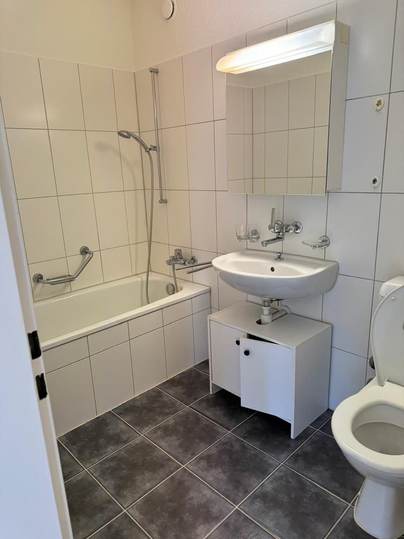1 room apartment, 8050 Zürich (3)