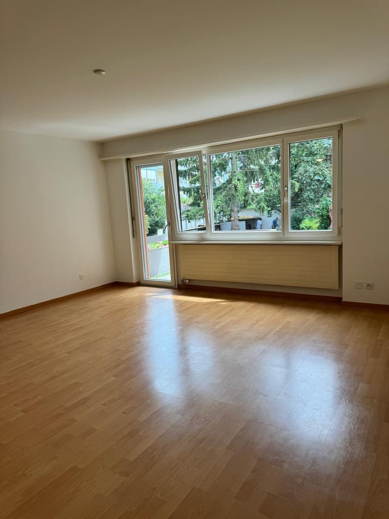1 room apartment, 8050 Zürich (8)