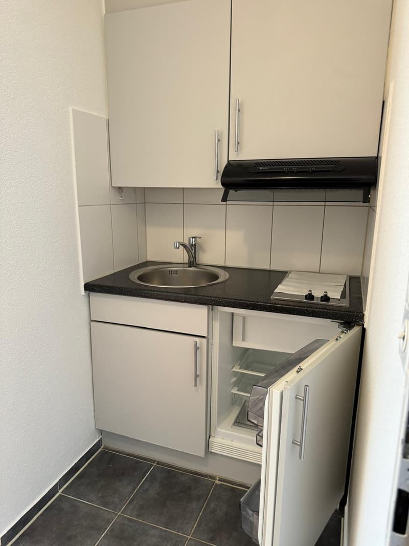 1 room apartment, 8050 Zürich (4)
