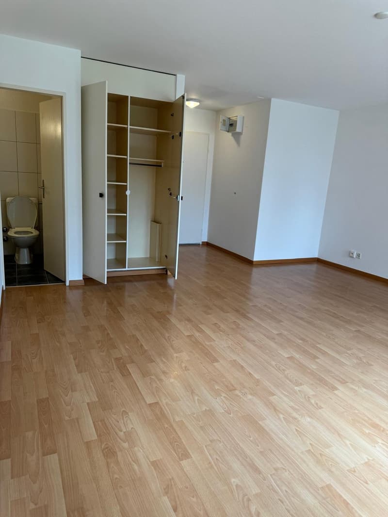 1 room apartment, 8050 Zürich (2)
