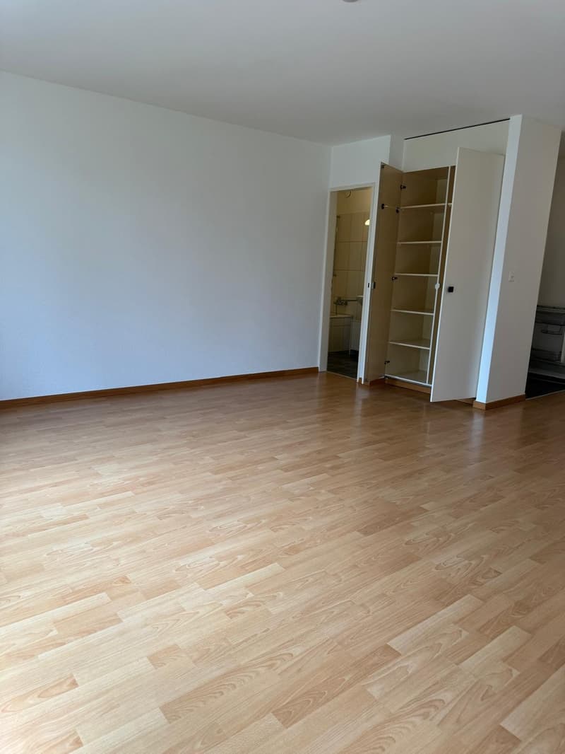 1 room apartment, 8050 Zürich (5)