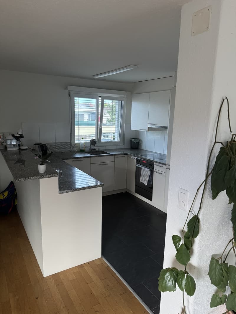 Room in Zurich Kloten (3)