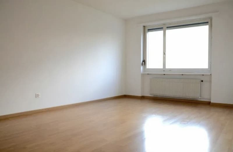 3 ½ Zimmer-Wohnung, 5610 Wohlen (5)