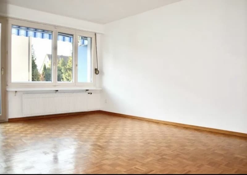 3 ½ Zimmer-Wohnung, 5610 Wohlen (7)