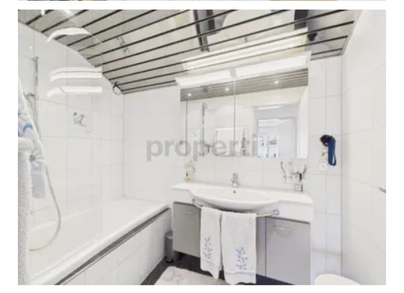 TRAUMHAFTE 4,5 ZI WOHNUNG IN SEEWEN SZ (6)