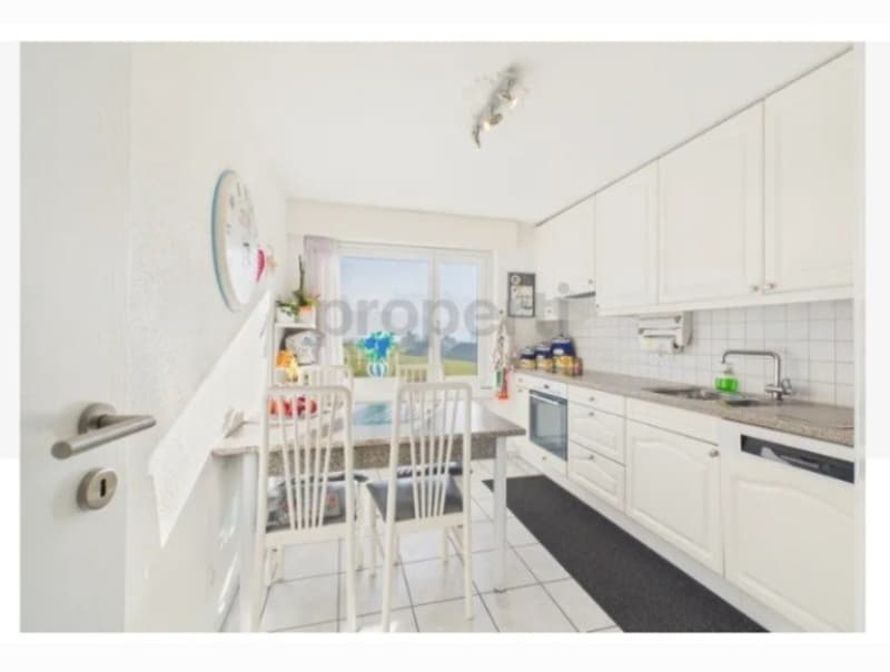TRAUMHAFTE 4,5 ZI WOHNUNG IN SEEWEN SZ (2)