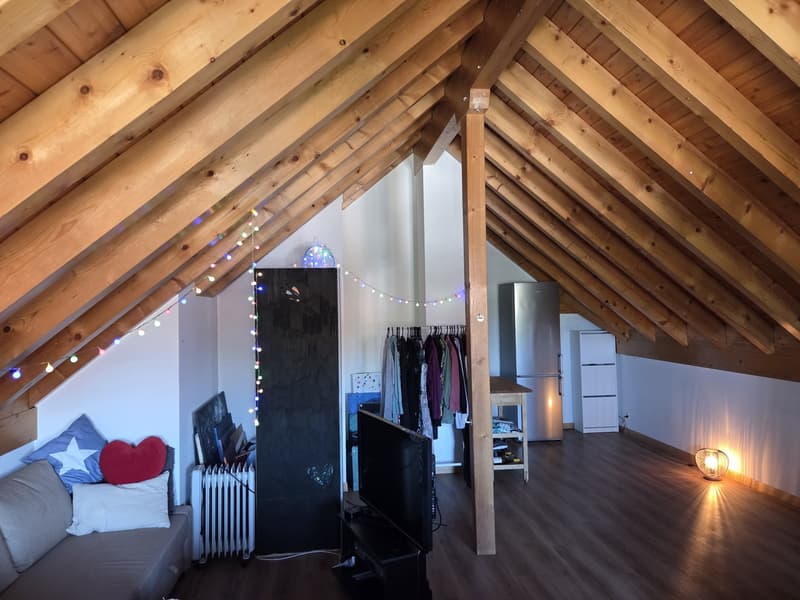 A LOUER - Grande chambre de 44 m2 dans une colocation à Gland proche gare (6)