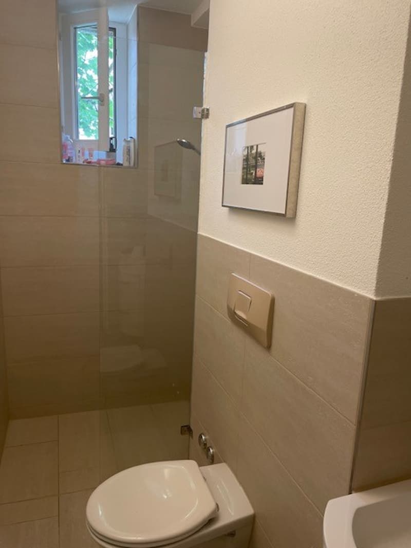 Charmante 3.5-Zimmer-Wohnung an der Kurvenstrasse in Zürich 8006 (5)