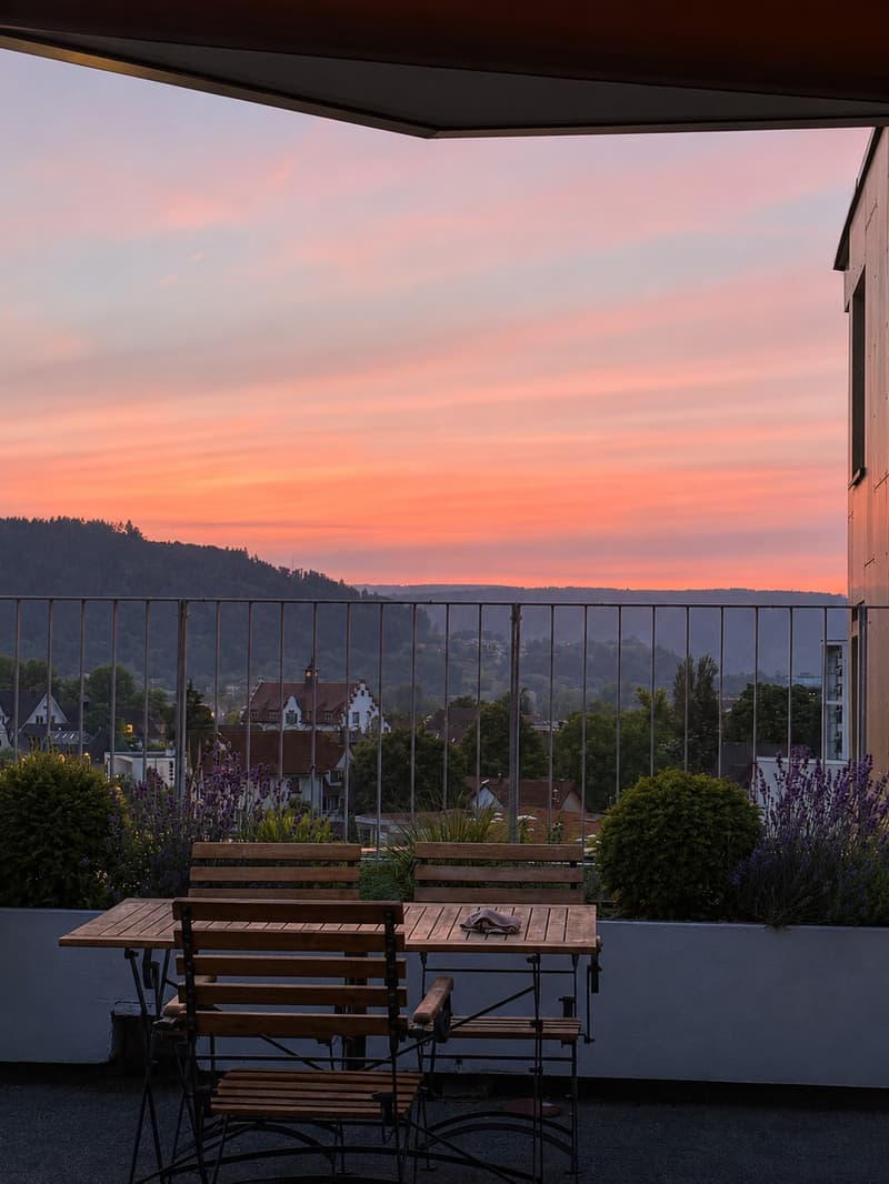 4.5-Zimmer-Wohnung mit grosser Dachterrasse und Weitblick (9)