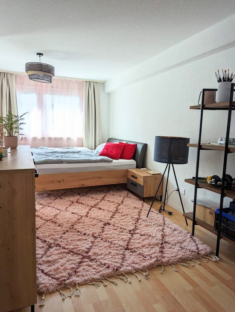 Untermiete: Einzigartige 3.5 Zimmerwohnung mit Pilatusblick (10)