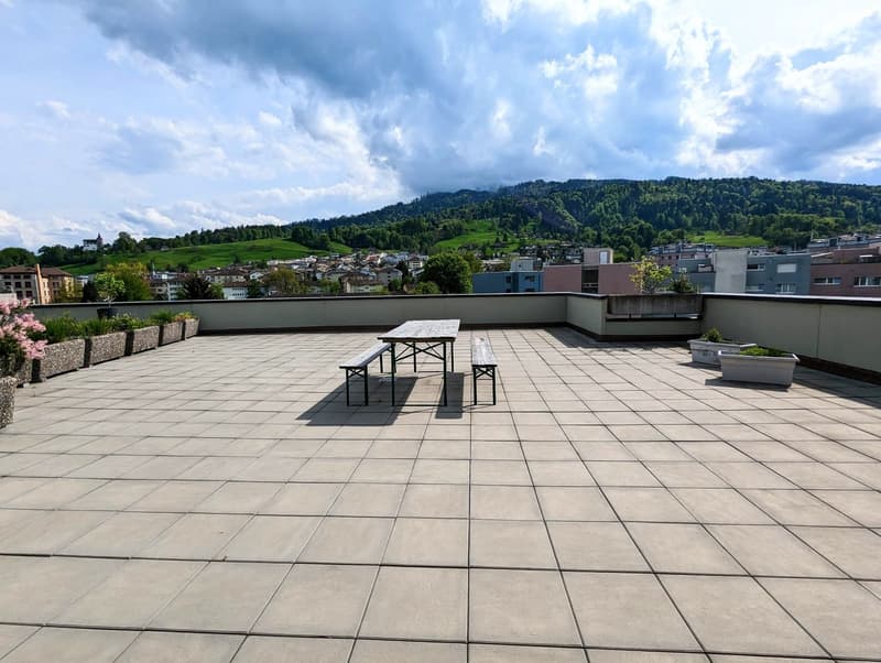 Untermiete: Einzigartige 3.5 Zimmerwohnung mit Pilatusblick (6)