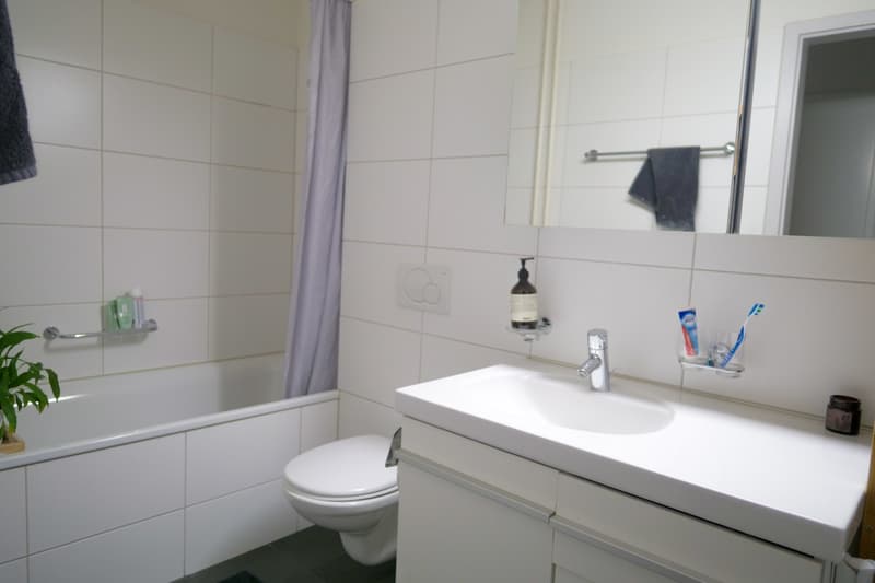 Wohnung bis 31.7.29 unmöbliert (3 Zimmer + Balkon) (7)