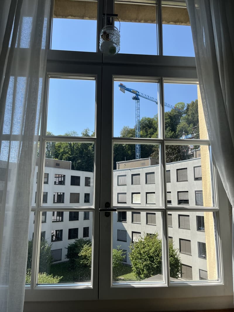 Möbliertes WG Zimmer in zentraler Altbauwohnung sucht Untermieter:in (3)